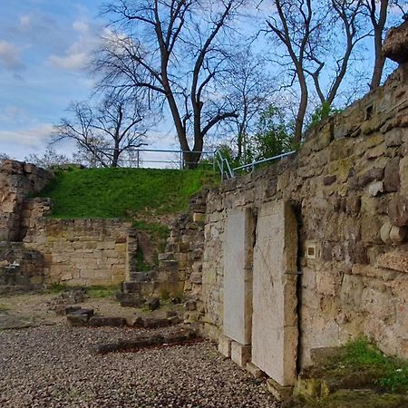 Ferienwohnungen An Der Schlossruine Herbsleben 외부 사진